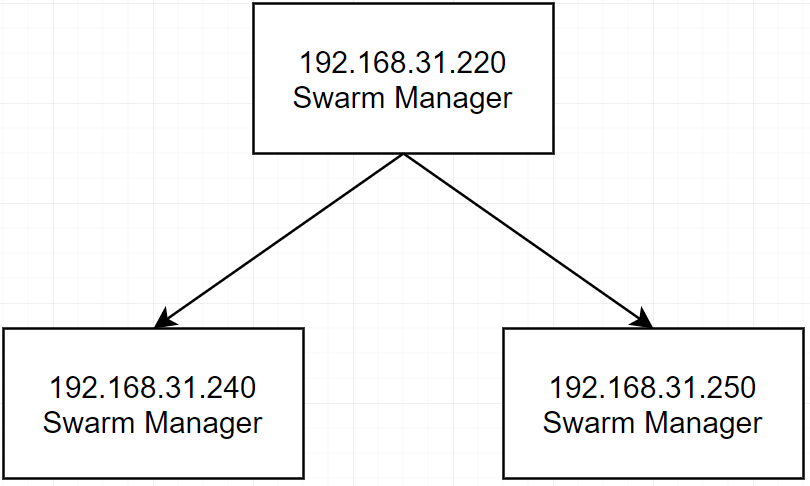 Swarm Cluster